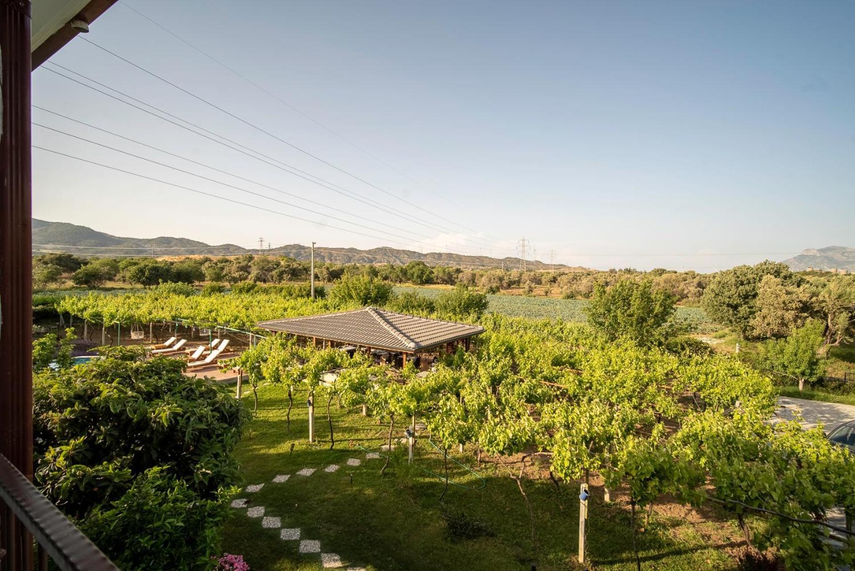 Grape Datca Hotel Kızlanköy Eksteriør billede