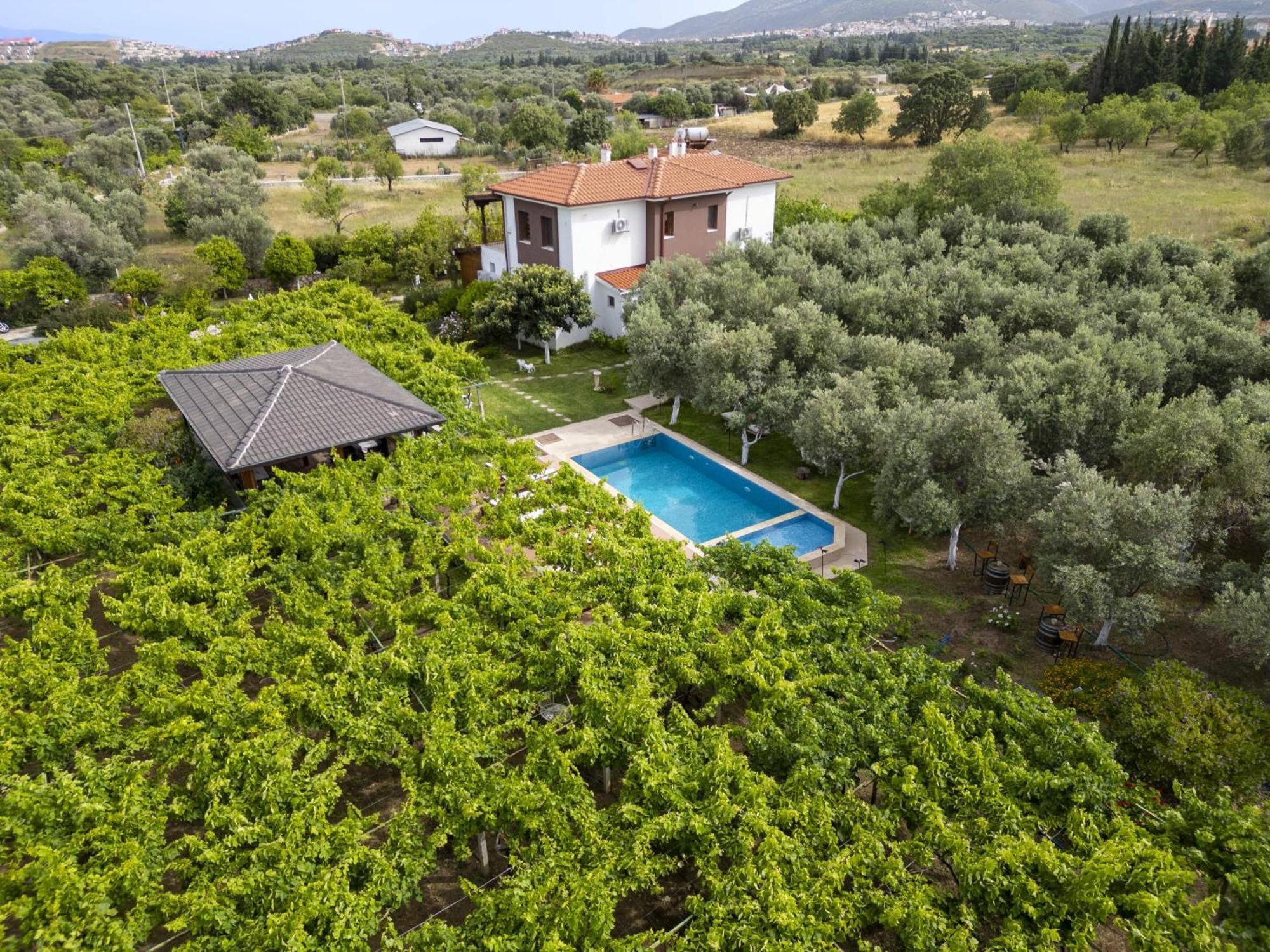 Grape Datca Hotel Kızlanköy Eksteriør billede