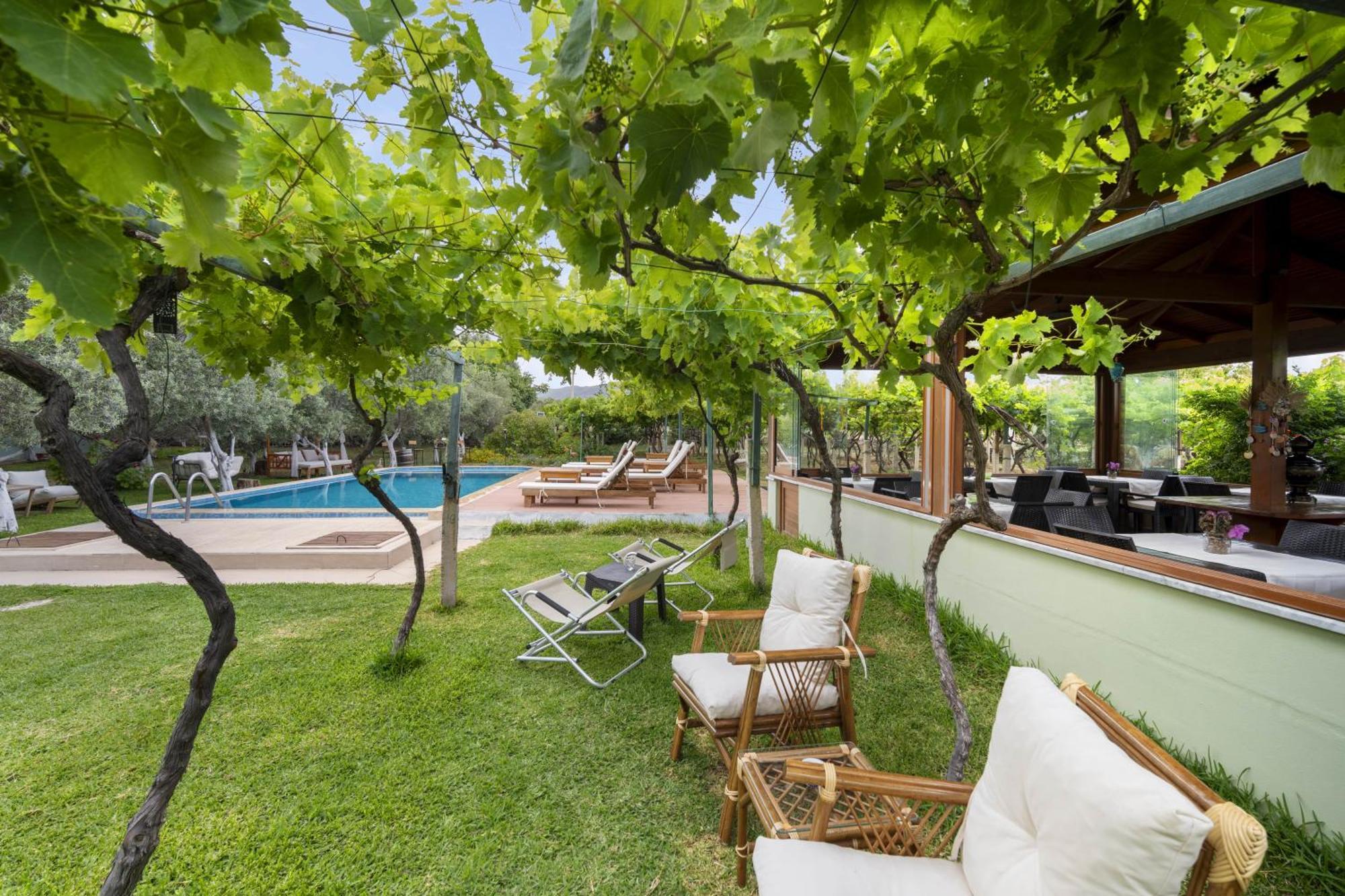 Grape Datca Hotel Kızlanköy Eksteriør billede