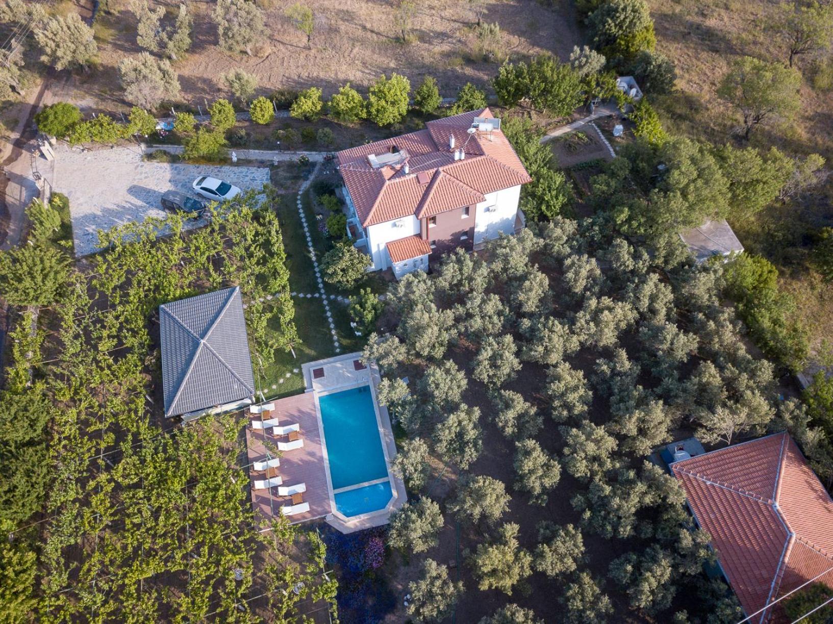 Grape Datca Hotel Kızlanköy Eksteriør billede